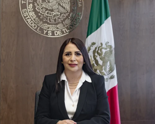 presidenta_anel_banuelos_meneses presidenta_anel_banuelos_meneses